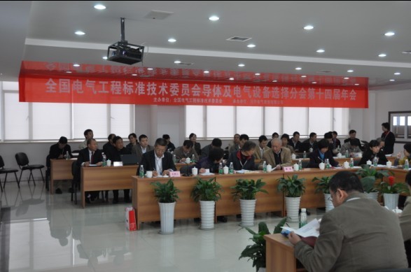 全國電氣工程標準技術(shù)委員會導(dǎo)體及電氣設(shè)備選擇分會2010年會在川開成功舉行